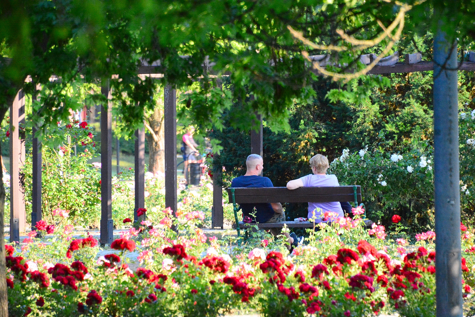 Romantikus fehérvári helyek - nézd meg képeken milyen szépek!
